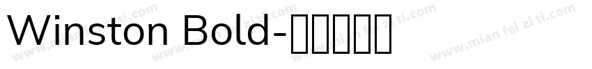 Winston Bold字体转换